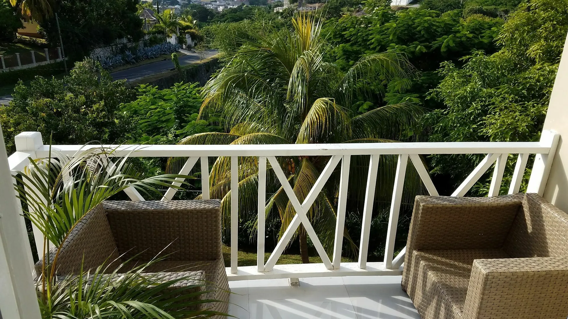 The Tallyman Montego Bay Giamaica